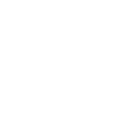 GM